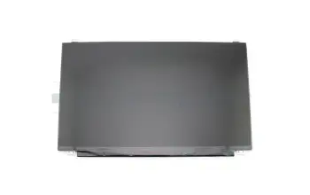 IPS Display FHD matt 60Hz für Lenovo ThinkPad T580 (20L9/20LA)