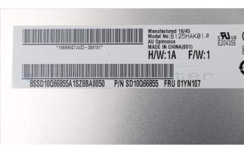 Lenovo 01YN107 Lenovo DISPLAY, AUO 12,5 FHD, In-Plane Switching, Multitouch AG