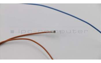 Lenovo 01YR425 Antenne KIT_Antenne_WWAN_Amphenol