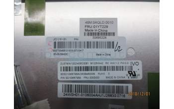 Lenovo 01YT229 Lenovo LCD Module,12\",WUXGA,Touch