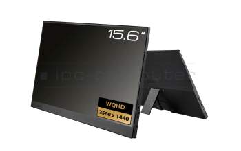 Alternative für IPC-Computer DP1502 Portabler Monitor 15.6 WQHD USB-C/HDMI