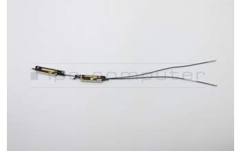 Lenovo 5A30S36054 Antenne Antenne W 81TE