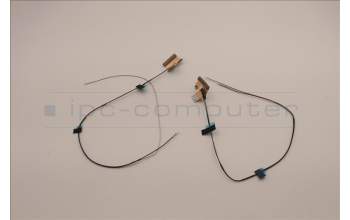 Lenovo 5A30Z88215 Antenne ACCY KITS ANT WL+MIMO AWAN JP610