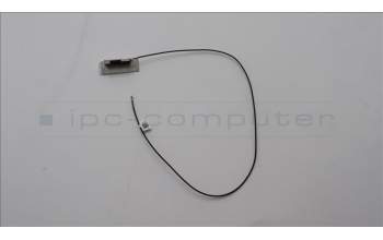 Lenovo 5A31F27661 Antenne Fru, Gaming T580 Main Ant_Speed