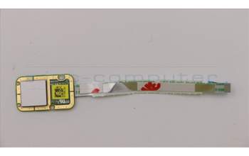 Lenovo 5C50N79837 CARDPOP FP Module C 80XC W/Cable SR