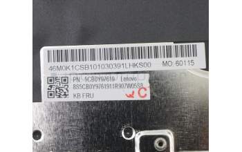 Lenovo 5CB0Y97619 Tastatur inkl. Topcase ASM_CZ-SK BL FP W81X3PG