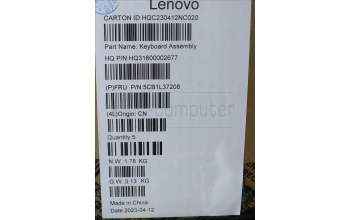 Lenovo 5CB1L37208 Tastatur inkl. Topcase deutsch H 82YN NFP ARGY