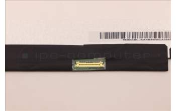 Lenovo 5D10Z90322 Lenovo DISPLAY,11.6\",FHD,Non-Touch,Anti-Glare,TN,250nit,45%NTSC