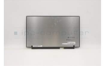 Lenovo 5D11A20525 DISPLAY FRU MNF601EA1-1 Color CSOT
