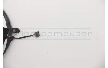 Lenovo 5F10X58162 Lüfter Lüfter C 81WL