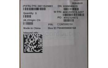 Lenovo 5M11S29881 C-Abdeckung mit Tastatur, Englisch (US, Euro), Luna-Grau, Ohne_Hintergrundbeleuchtung, Wärmekontaktnieten