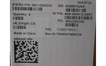 Lenovo 5M11S30310 C-Abdeckung mit Tastatur, Schweiz, Luna-Grau, Ohne_Hintergrundbeleuchtung, Ohne nach vorn zeigender Kamera, Wärmekontaktnieten