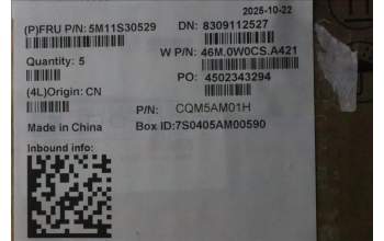 Lenovo 5M11S30529 C-Abdeckung mit Tastatur, Spanisch, Luna-Grau, Hintergrundbeleuchtung, Nach vorn zeigende Kamera, Wärmekontaktnieten