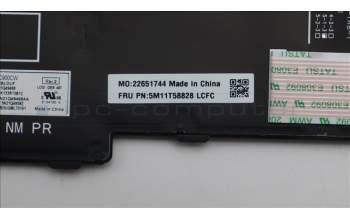 Lenovo 5M11T58828 Keyboard Internal, German, Black, Backlight, Numpad, UK