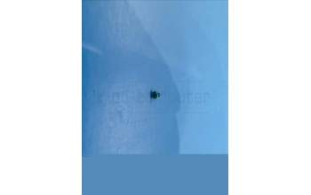 Lenovo 5M88C29036 TB311 Screw&*4610AA000786 CS