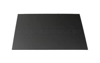 Asus 18010-16040200 original IPS Display WQXGA (2560x1600) matt 240Hz