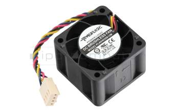 FAN-4CM-R02 Original QNAP Lüfter 40x40x28mm PWM 12V