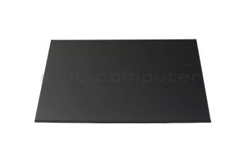 Lenovo 543A25V6WDZZ-ZS01A0 original IPS Display WUXGA (1920x1200) matt 60Hz