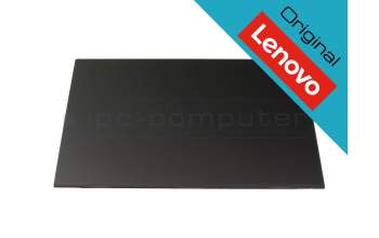 Lenovo 5D11H56205 original IPS Display WQXGA (2560x1600) matt 60Hz