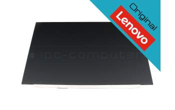 Lenovo 5D11K06193 original IPS Display (1920x1200) matt 60Hz