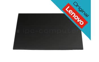 Lenovo SD11D97982 original TN Display WXGA (1366x768) matt 60Hz