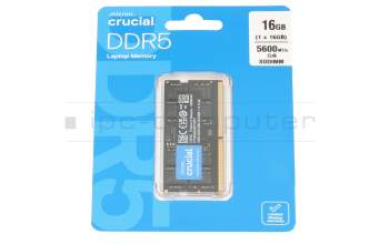 Substitut für Asus 03A12-00021500 Arbeitsspeicher 16GB DDR5-RAM