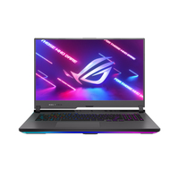 Asus ROG Strix G17 G713QR Ersatzteile