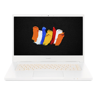 Acer ConceptD 3 (CN315-72G) Ersatzteile