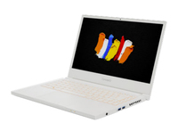 Acer ConceptD 3 (CN314-72P) Ersatzteile