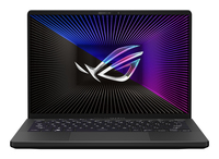 Asus ROG Zephyrus G14 GA402RJ Ersatzteile