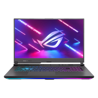 Asus ROG Strix G17 G713PU Ersatzteile
