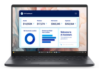 Dell Pro 13 Premium PA13250 Ersatzteile