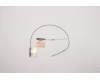 Lenovo ANTENNA ANTENNA ACCY KITS ANTENNA MIMO für Lenovo P15 Gen 2 (20YQ/20YR)