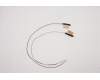 Lenovo 5A30Z88168 Antenne ACCY KITS Antenne WLAN AL