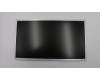 Lenovo 01EF764 Lenovo LCD Module,19.5",HD+,Non-Touch,Anti-Glare,TN,200nit,72%NTSC