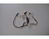 WTNR3 Dell Embedded DisplayPort assembly