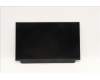 00NY682 Lenovo DISPLAY IVO 12.5 FHD IPS AG