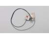 Lenovo ANTENNA FRU WLAN Antenna Kit für Lenovo ThinkPad E495 (20NE)