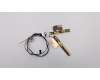 Lenovo ANTENNA ANTENNA,WWAN,WLAN,ASM,AMP für Lenovo ThinkPad T14 Gen 1 (20UD/20UE)