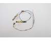 Lenovo ANTENNA ANTENNA,WWAN+WLAN,Speed für Lenovo ThinkPad T490s (20NX/20NY)