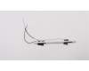 Lenovo ANTENNA WIFI Antenna module 3N 81A4 für Lenovo IdeaPad 130S-11IGM (81KT)