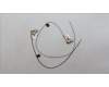 Lenovo ANTENNA Antenna L 82Y5 MAIN+AUX für Lenovo Legion Slim 5-14APH8 (82Y5)