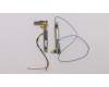 Lenovo ANTENNA KIT ANTENNA,WWAN,Amphenol für Lenovo ThinkPad X1 Carbon 7th Gen (20QD/20QE)