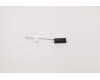 Lenovo ANTENNA Tiny6 Front antenna für Lenovo ThinkStation P340 Tiny (30DU)