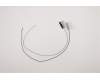 Lenovo ANTENNA Fru, AIO350_27 ANTENNA_Chilisin für Lenovo IdeaCentre AIO 3-27IMB05 (F0EY)