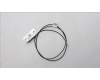 Lenovo ANTENNA Fru,FR INT ANT_LUX für Lenovo ThinkStation PX (30EU)