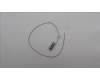 Lenovo ANTENNA Fru,HN Rear antenna_LUX für Lenovo ThinkStation P7 (30F2)