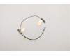 Lenovo ANTENNA WLAN Antenna MAIN+AUX<WNC> für Lenovo ThinkPad X1 Extreme Gen 3 (20TK/20TL)