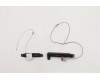 Lenovo ANTENNA FRU ANTENNA P17 ANTENNA MIMO für Lenovo ThinkPad P17 Gen 1 (20SN/20SQ)