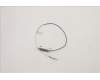 Lenovo ANTENNA Fru,17L WiFi6e Front antenna_HB für Lenovo ThinkStation P360 Tower (30FM)